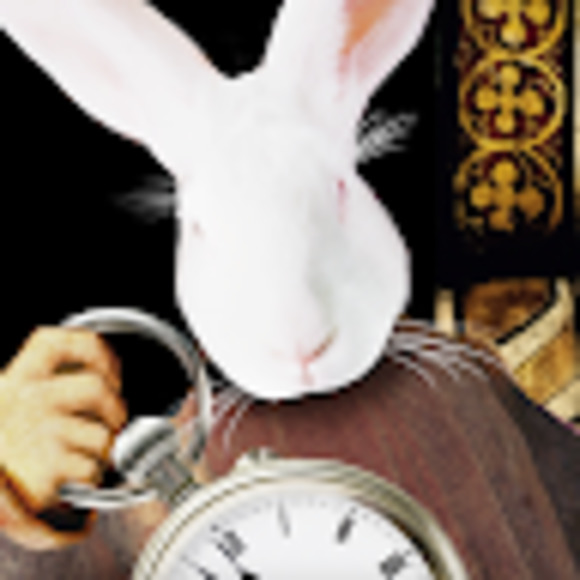 Meet your Posher, Emmanuel - Picture 1 of 1